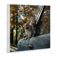 Jim Baldwin | Funny Squirrel Truck