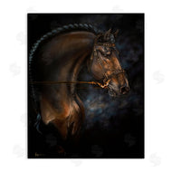 Lindsay Kivi Fine Art | Expressive Equine Horse in Harness
