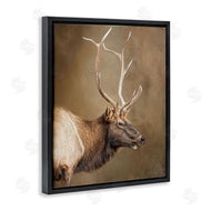 Kelley Parker | Outdoorsman Rustic Deer