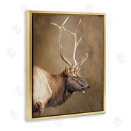 Kelley Parker | Outdoorsman Rustic Deer