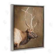 Kelley Parker | Outdoorsman Rustic Deer