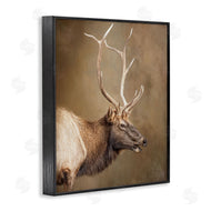 Kelley Parker | Outdoorsman Rustic Deer