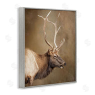 Kelley Parker | Outdoorsman Rustic Deer