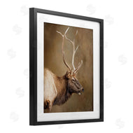 Kelley Parker | Outdoorsman Rustic Deer
