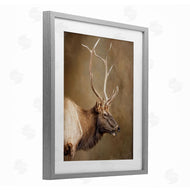 Kelley Parker | Outdoorsman Rustic Deer