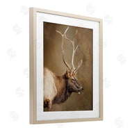 Kelley Parker | Outdoorsman Rustic Deer
