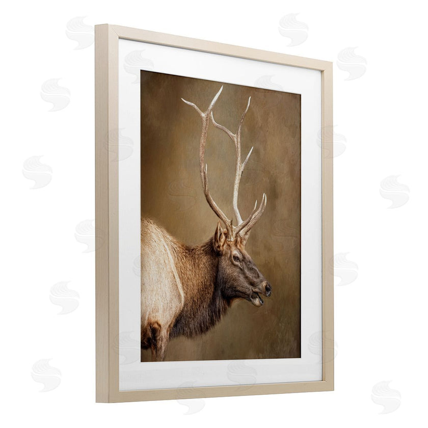 Kelley Parker | Outdoorsman Rustic Deer