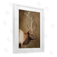 Kelley Parker | Outdoorsman Rustic Deer