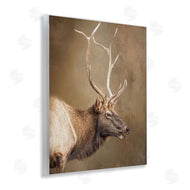 Kelley Parker | Outdoorsman Rustic Deer