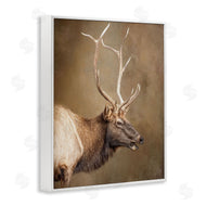 Kelley Parker | Outdoorsman Rustic Deer