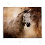 Kelley Parker | Spirit Unbridled Horse