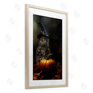 Kelley Parker | Bewitching Gaze of Owl