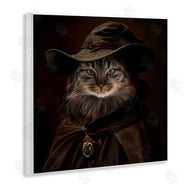 Kelley Parker | Whiskered Wizardry Cat