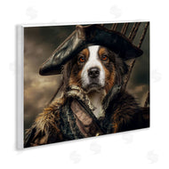 Kelley Parker | Barking Buccaneer Pirate Dog