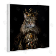 Kelley Parker | Purrfectly Proper Cat