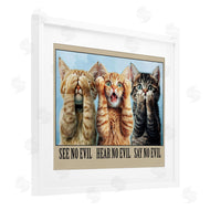 Jim Baldwin | See No Evil Cats