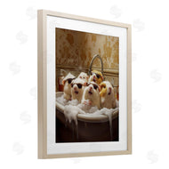 Jim Baldwin | Guinea Pigs in Bubble Bath
