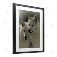 Collin Bogle | Sunlit Soulmates Wolves