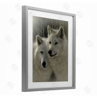 Collin Bogle | Sunlit Soulmates Wolves