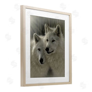 Collin Bogle | Sunlit Soulmates Wolves
