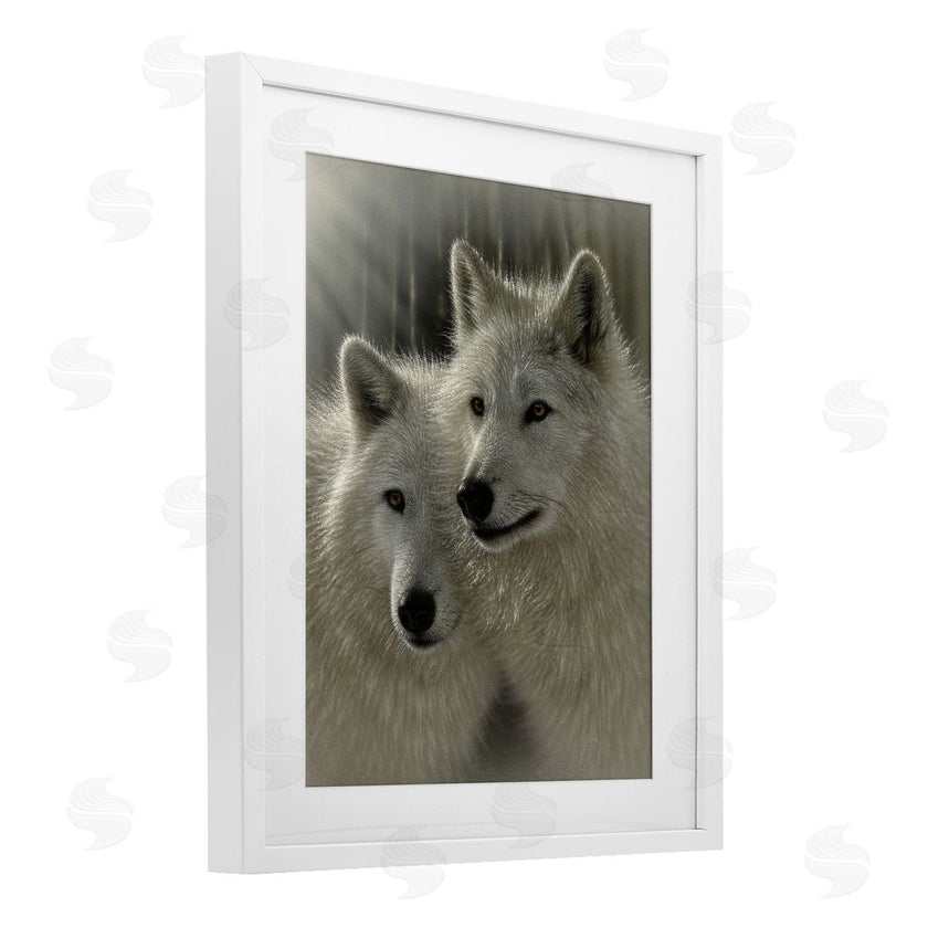 Collin Bogle | Sunlit Soulmates Wolves