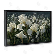 Collin Bogle | White Iris Garden