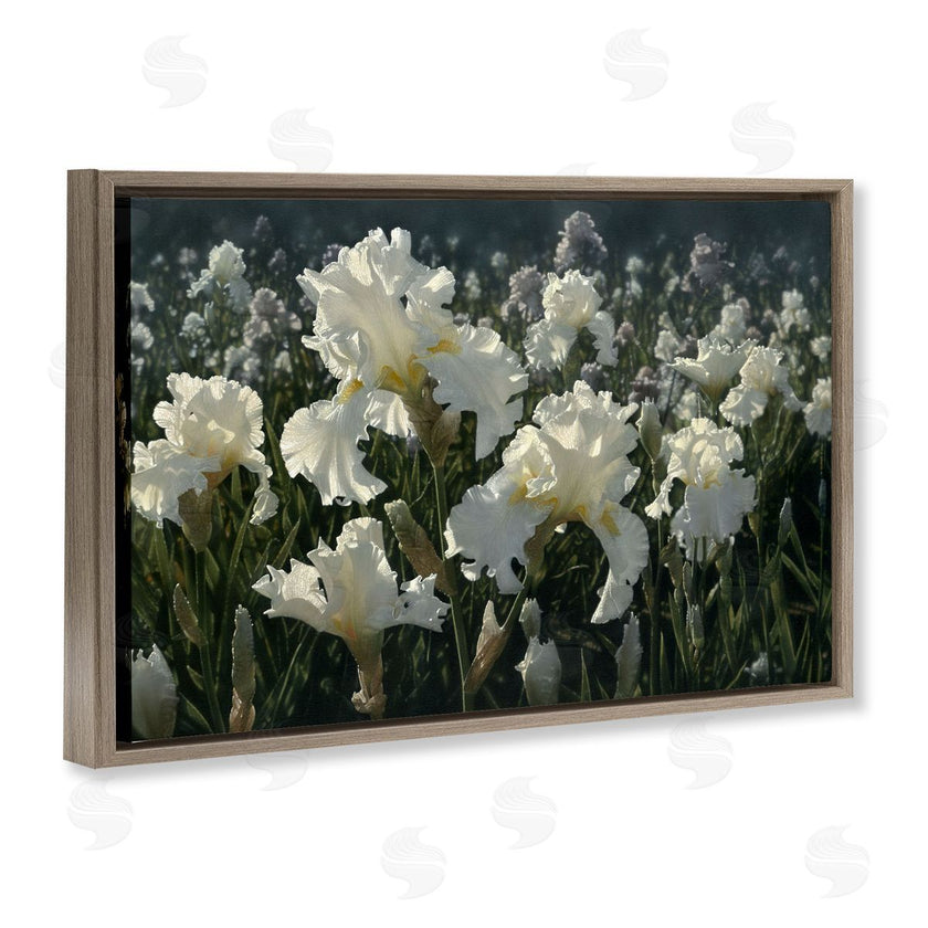 Collin Bogle | White Iris Garden