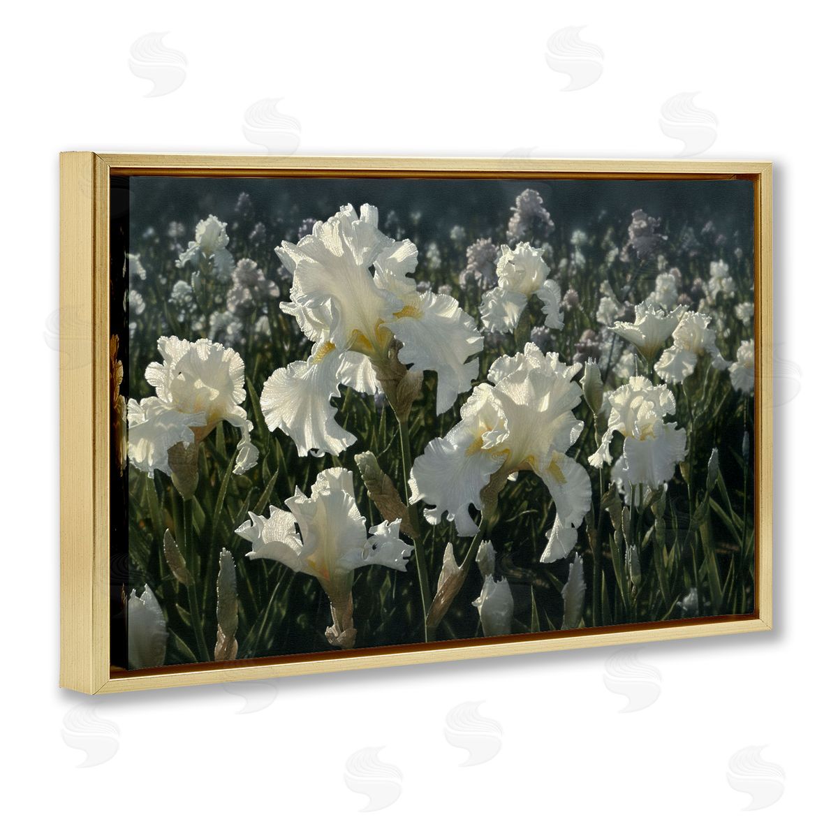 Collin Bogle White Iris Garden Canvas Wall Art Print