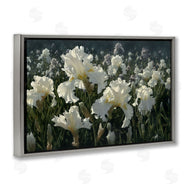 Collin Bogle | White Iris Garden