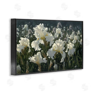 Collin Bogle | White Iris Garden
