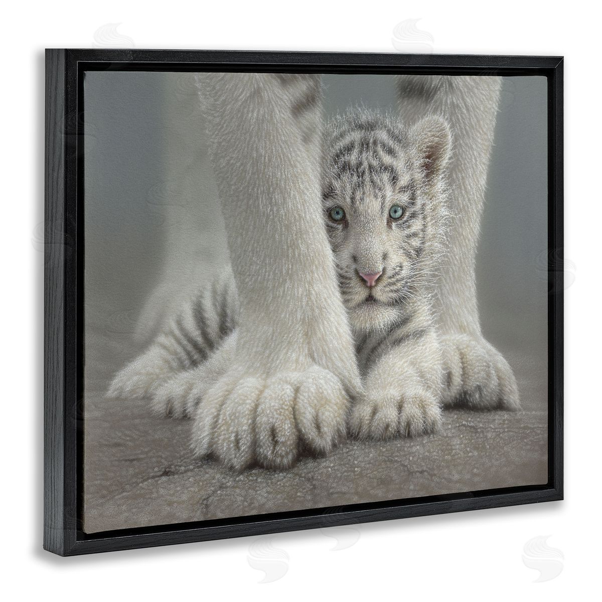 Collin Bogle Sheltered White Tiger Cub Canvas Wall Art Print