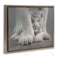 Collin Bogle | Sheltered White Tiger Cub