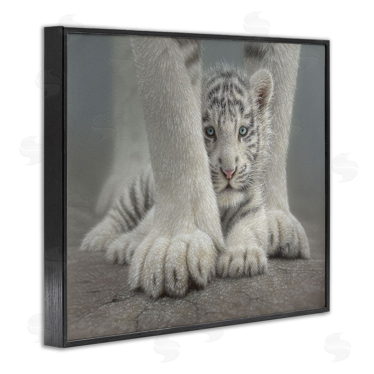 Collin Bogle Sheltered White Tiger Cub Canvas Wall Art Print
