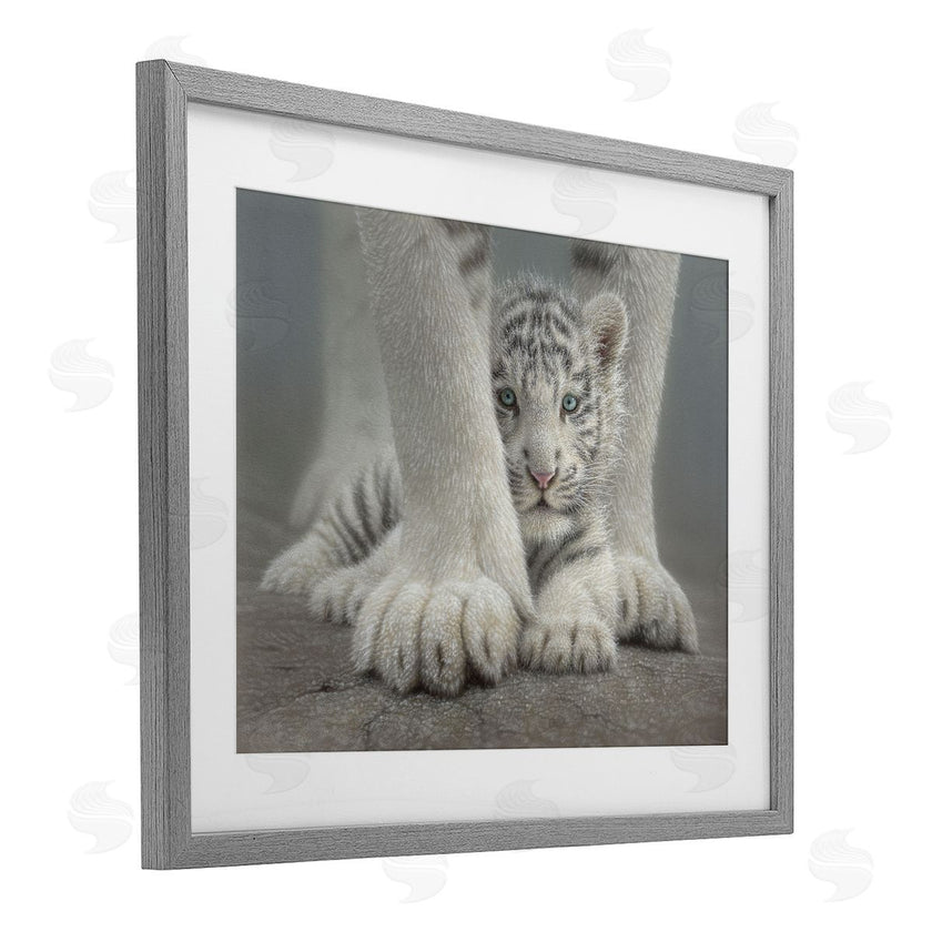 Collin Bogle | Sheltered White Tiger Cub