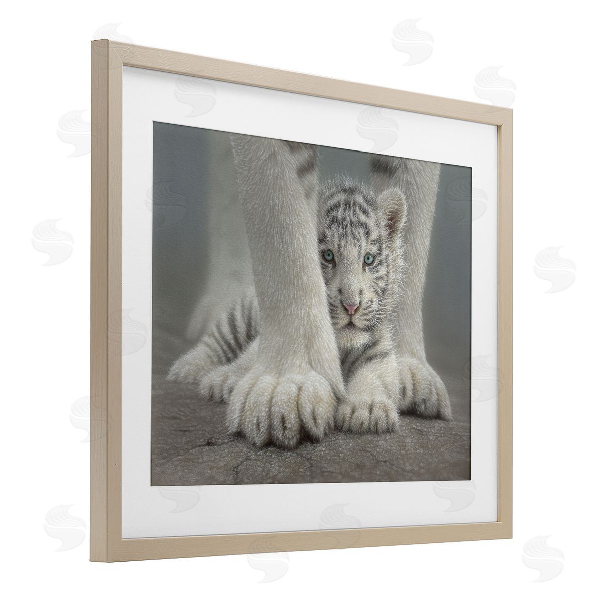 Collin Bogle Sheltered White Tiger Cub Canvas Wall Art Print