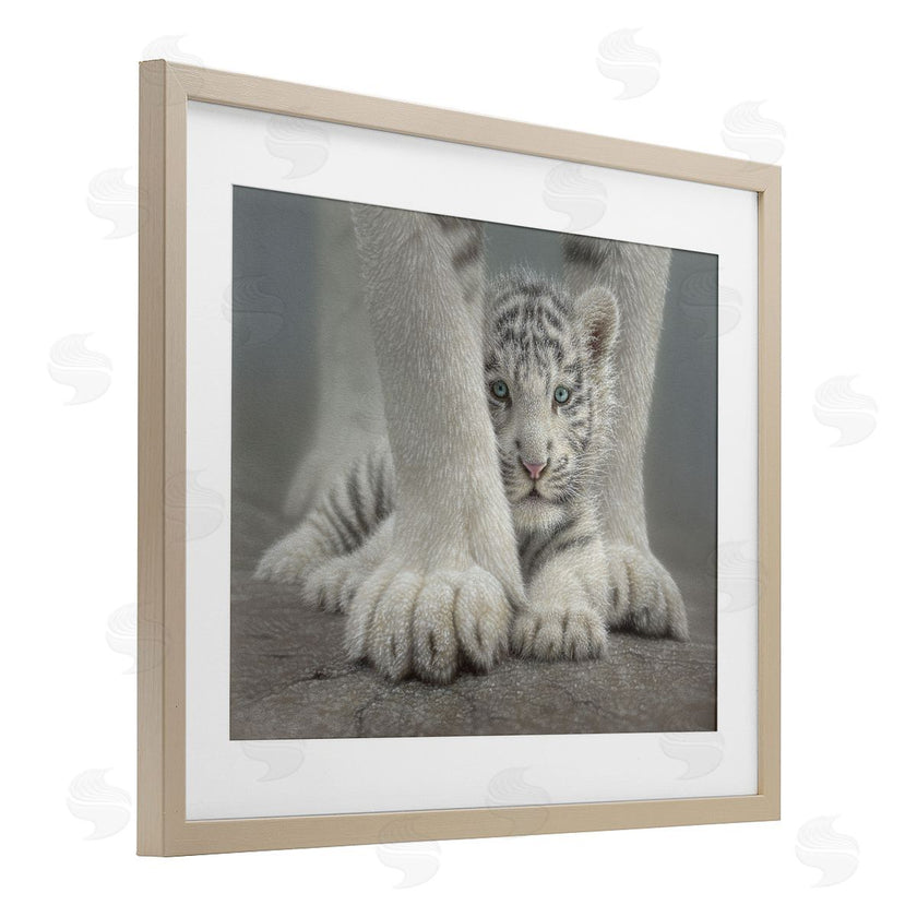 Collin Bogle | Sheltered White Tiger Cub