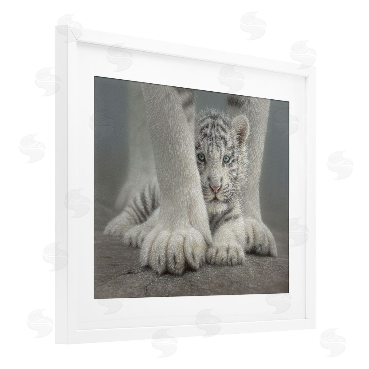 Collin Bogle Sheltered White Tiger Cub Canvas Wall Art Print