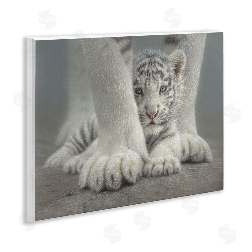 Collin Bogle | Sheltered White Tiger Cub