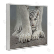 Collin Bogle | Sheltered White Tiger Cub