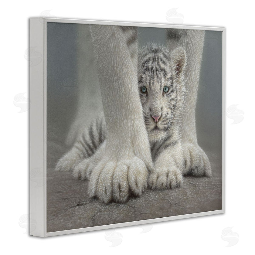 Collin Bogle | Sheltered White Tiger Cub