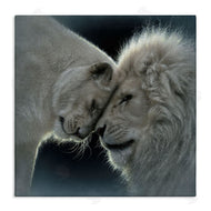 Collin Bogle | White Lion Love