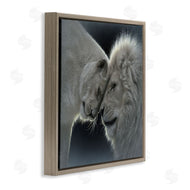 Collin Bogle | White Lion Love