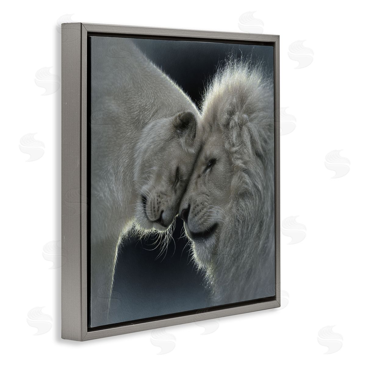 Collin Bogle White Lion Love Canvas Wall Art Print