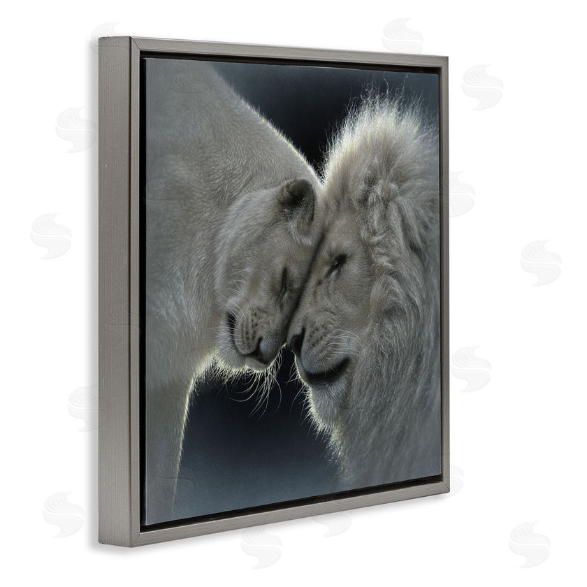 Collin Bogle | White Lion Love