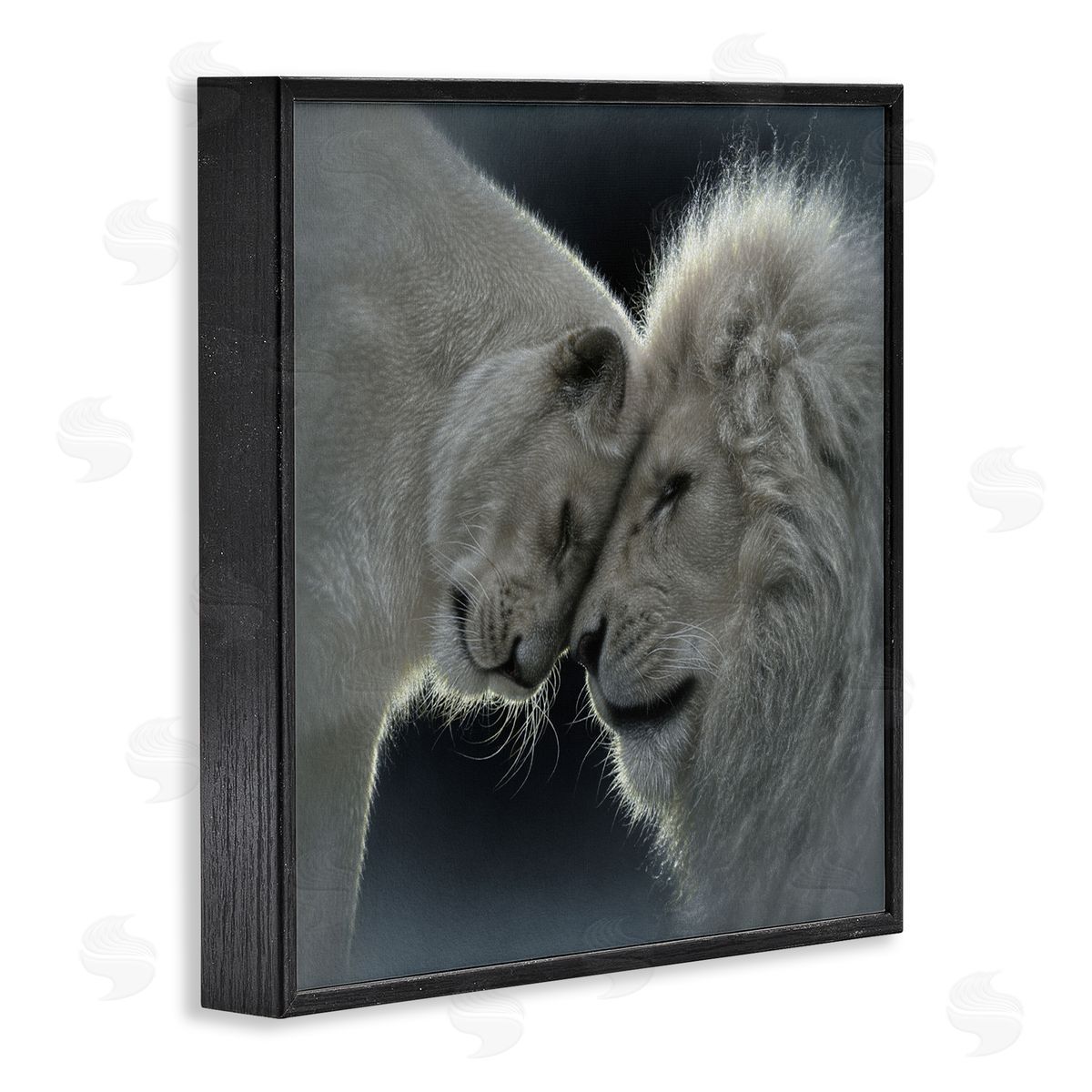 Collin Bogle White Lion Love Canvas Wall Art Print