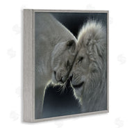 Collin Bogle | White Lion Love