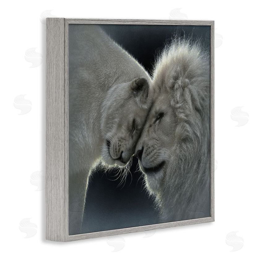 Collin Bogle | White Lion Love