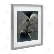 Collin Bogle | White Lion Love