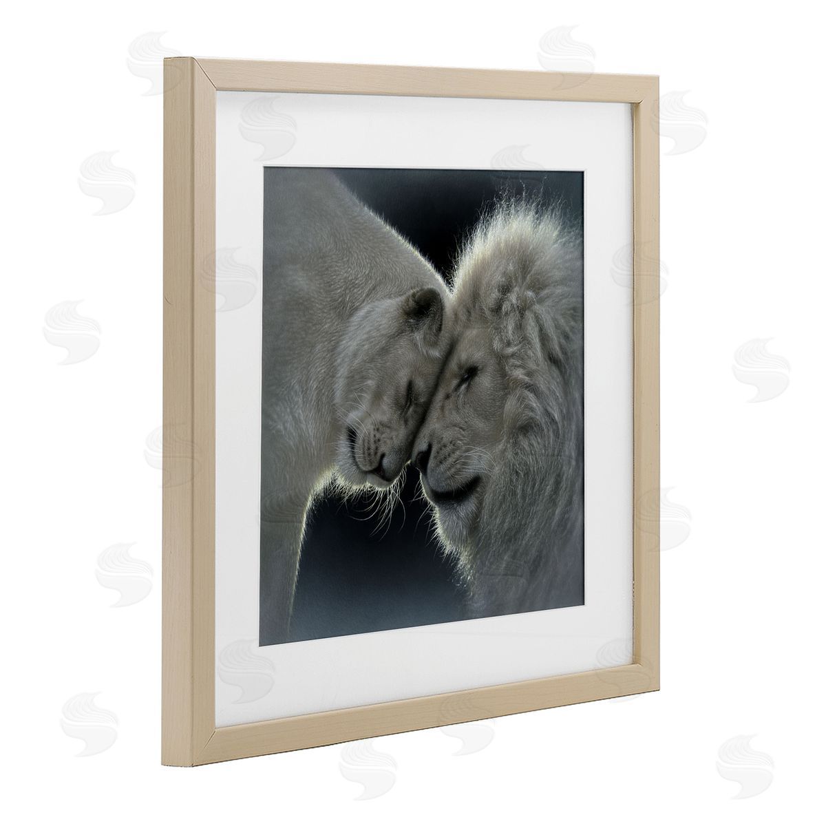 Collin Bogle White Lion Love Canvas Wall Art Print