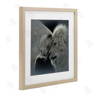 Collin Bogle | White Lion Love